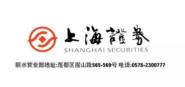 上海證券麗水營業(yè)部開業(yè)盛典，投資控股引領(lǐng)財富未來