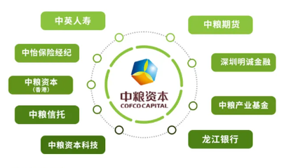 福滿佳2.0紅利實現(xiàn)率超預(yù)期，2025年中英人壽分紅率突破3.5%驚喜揭曉