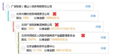 廣安控股黃山投資有限責任公司 戰(zhàn)略投資與控股布局解析